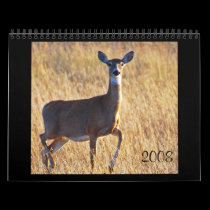 Whitetail Deer at the Dune's! calendars