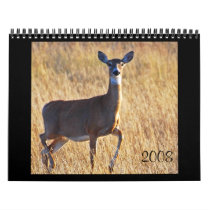 Whitetail Deer at the Dune's! Calendars