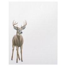 Whitetail Deer Buck Letterhead