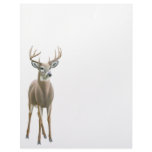 Whitetail Deer Buck Letterhead