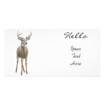 Whitetail Deer Buck Photo Card photo cards by twopurringcats Whitetail Deer Buck Photo Card photo cards