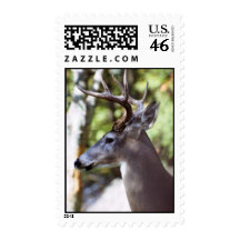Whitetail Deer (Buck) Postage 2
