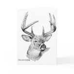 Whitetail Deer Card