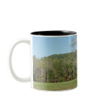 Whitetail Deer (Doe) Mug