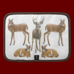 Whitetail Deer Family Rickshaw Folio rickshaw folios