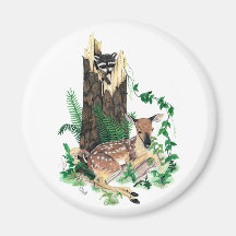 Whitetail Deer Fawn and Raccoon Magnet