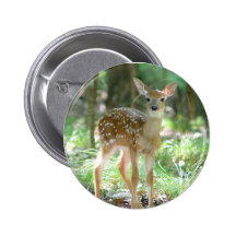 Whitetail Deer Fawn Button
