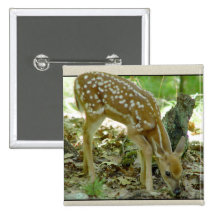 Whitetail Deer - Fawn Button 2