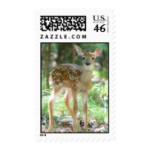 Whitetail Deer Fawn Postage