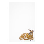 Whitetail Deer Fawn Stationery