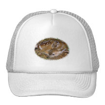 Whitetail Deer Fawn Trucker Hats