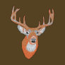 Whitetail Deer Head