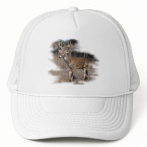 Whitetail deer in the field mesh hats