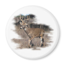 Whitetail deer in the field magnets
