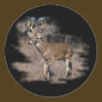 Whitetail deer in the field