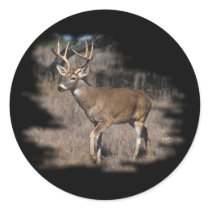 Whitetail deer in the field stickers