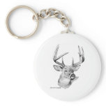 Whitetail Deer keychains