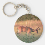Whitetail Deer Keychain