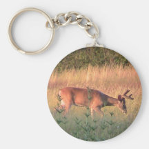 Whitetail Deer Keychain