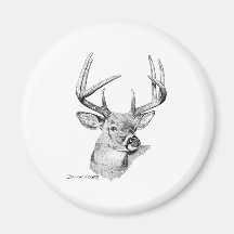 Whitetail Deer Magnets