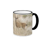 Whitetail Deer Mug