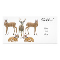 Whitetail Deer Photo Card photo cards by twopurringcats Whitetail Deer Photo Card photo cards