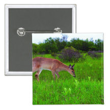 Whitetail Deer Pin