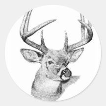 Whitetail Deer Round Sticker
