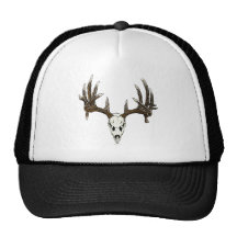 Whitetail deer skull 1 hats