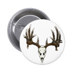 Whitetail deer skull 1 pinback button