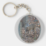 Whitetail Deer Spike Buck Series Key Chain