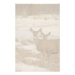 Whitetail Deer Stationery