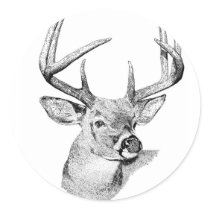 Whitetail Deer Round Sticker