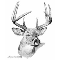 Whitetail Deer T Shirts