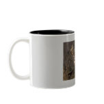 whitetail coffee mugs