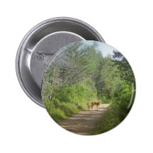 Whitetails Pins