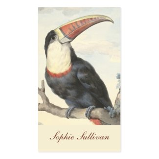 A business card for petcare and the animal welfare professions featuring a reproduction of a watercolor painting of a majestic whitethroated toucan from eastern North America, by the Dutch painter Aert Schouman in 1748. 