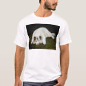 Whitey t-shirts