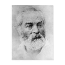 Whitman 44 postcard