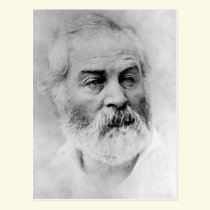 Whitman 44 postcard postcards