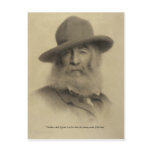 Whitman 56 postcard
