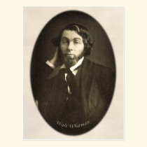 Whitman age 29 postcard postcards