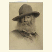 Whitman age 56 cards cards