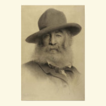 Whitman age 56 poster posters