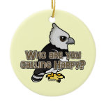 Who are you calling Harpy? Circle Ornament
