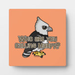Who are you calling Harpy? Photo Plaque