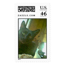 Who are you? postage