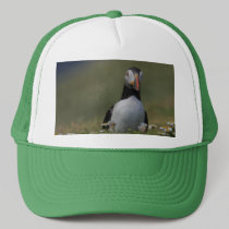 Who Are You Puffin Hat