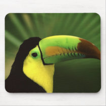 Who Can?  Toucan, Thats Who! mousepads