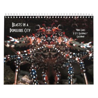 Who Cares If It's Seasonal? calendar
